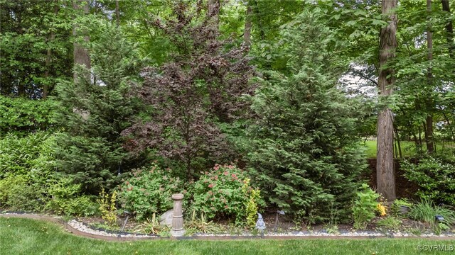 5225 Clipper Cove Rd, Chesterfield, VA 23112 - view of yard