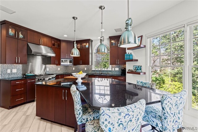 5225 Clipper Cove Rd, Chesterfield, VA 23112 - kitchen with stainless steel microwave, under cabinet range hood, a sink, and plenty of natural light