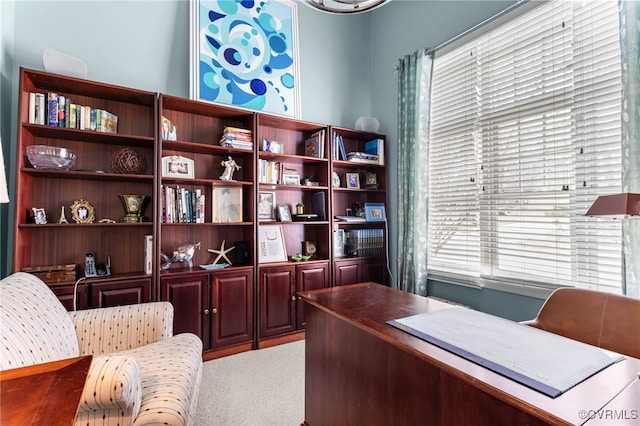 5225 Clipper Cove Rd, Chesterfield, VA 23112 - carpeted office space featuring plenty of natural light