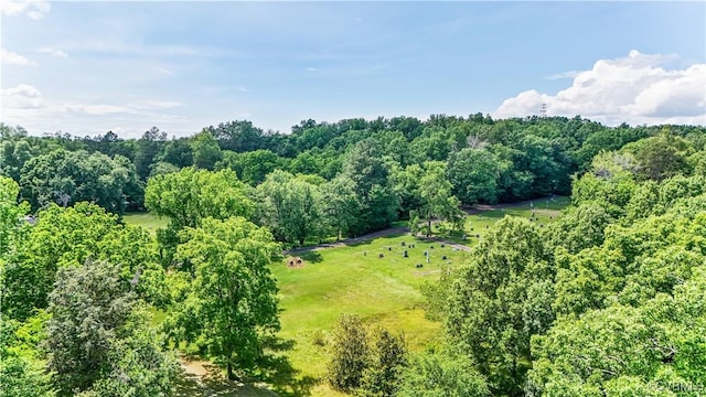 265 Proctor St, Drakes Branch, VA 23937 - photo 4