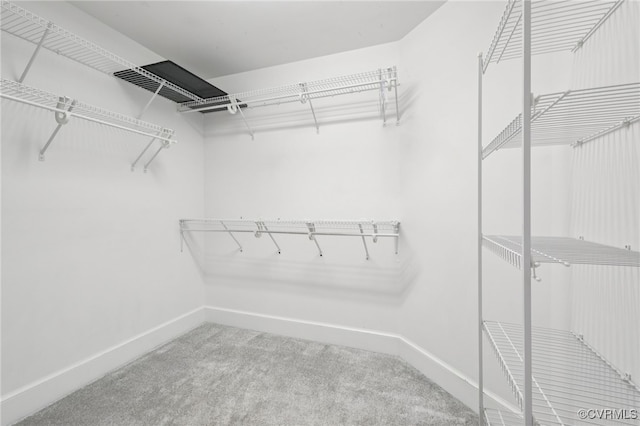 5308 Hillshire Way, Glen Allen, VA 23059 - walk in closet with carpet floors