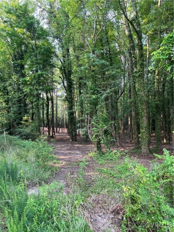 0 Islington Rd, Warsaw, VA 22572