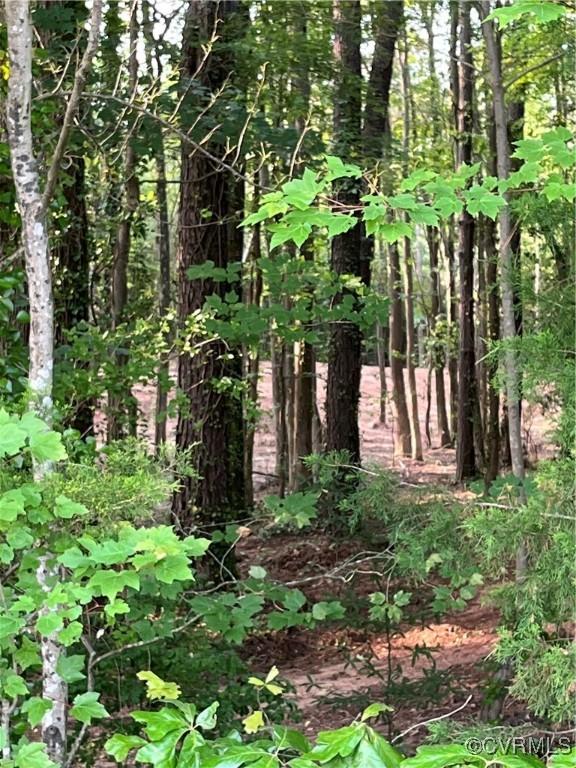 0 Islington Rd, Warsaw, VA 22572