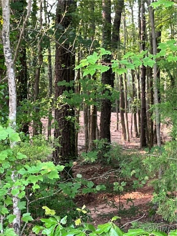 0 Islington Rd, Warsaw, VA 22572