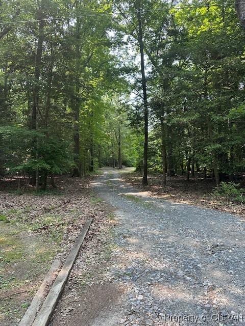 733 Holland Point Rd, Dutton, VA 23050 - view of street featuring a view of trees