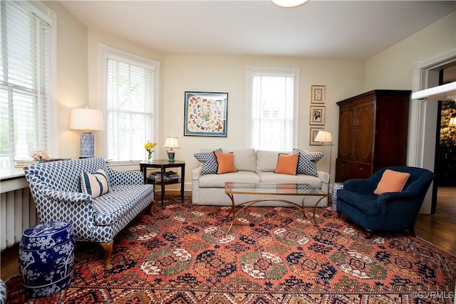 908 High St, Farmville, VA 23901 - living area featuring healthy amount of natural light and wood finished floors