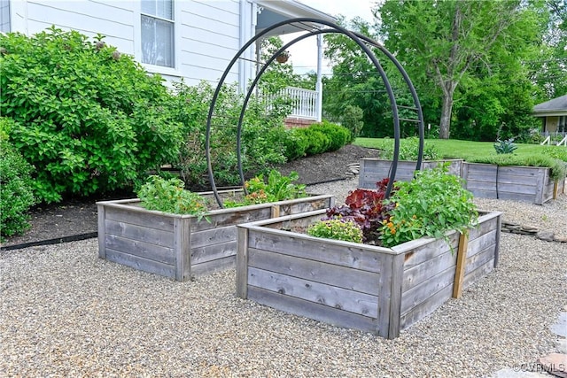 908 High St, Farmville, VA 23901 - view of yard featuring a garden
