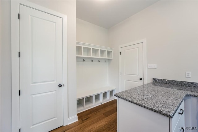 4507 Summer Camp Ct, Moseley, VA 23120 - mudroom with dark wood-type flooring