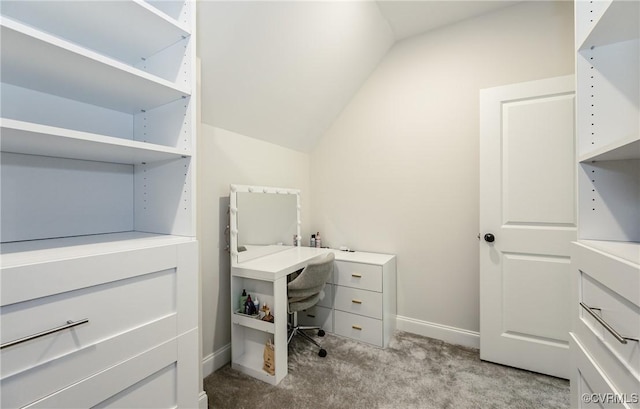 4507 Summer Camp Ct, Moseley, VA 23120 - photo 41
