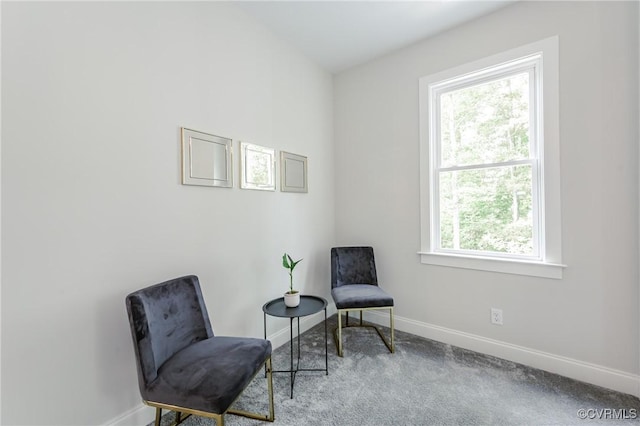 4507 Summer Camp Ct, Moseley, VA 23120 - living area featuring healthy amount of natural light, baseboards, and carpet flooring