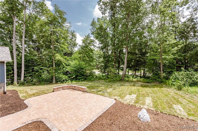 4507 Summer Camp Ct, Moseley, VA 23120 - photo 47