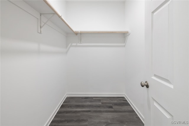 11816 Shady Ln, Chesterfield, VA 23831 - walk in closet featuring dark wood-style flooring