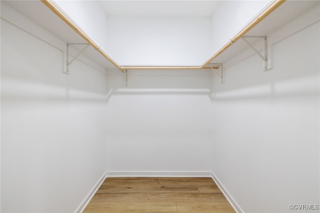 11800 Shady Ln, Chesterfield, VA 23831 - walk in closet featuring light wood-type flooring