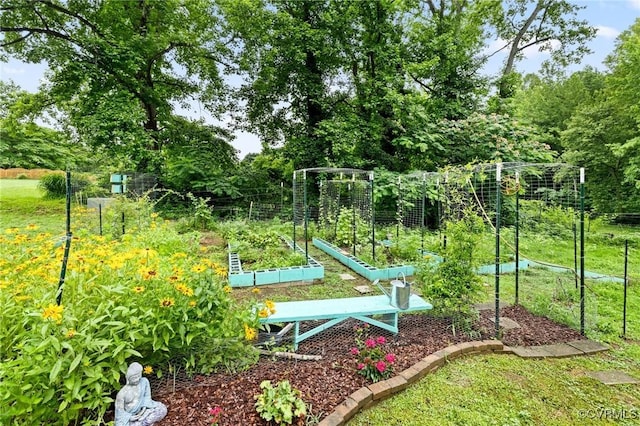 11021 Grub Hill Church Rd, Amelia Courthouse, VA 23002 - view of property's community featuring a vegetable garden and a yard
