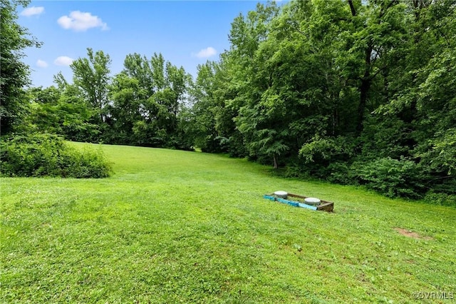 11021 Grub Hill Church Rd, Amelia Courthouse, VA 23002 - view of grassy yard with a view of trees
