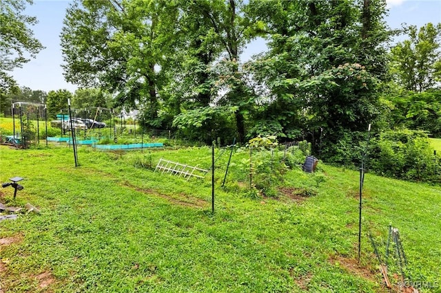 11021 Grub Hill Church Rd, Amelia Courthouse, VA 23002 - view of green lawn