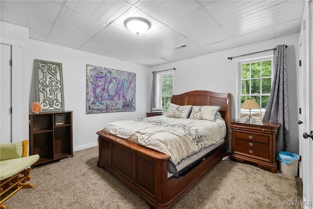 11021 Grub Hill Church Rd, Amelia Courthouse, VA 23002 - bedroom with multiple windows and light colored carpet