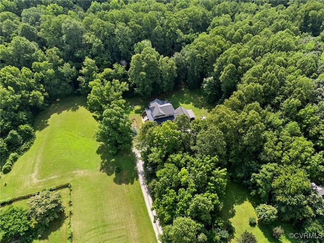 11021 Grub Hill Church Rd, Amelia Courthouse, VA 23002 - view of property location featuring a heavily wooded area and rural landscape