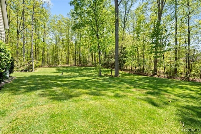 2024 Judes Ferry Rd, Powhatan, VA 23139 - view of green lawn