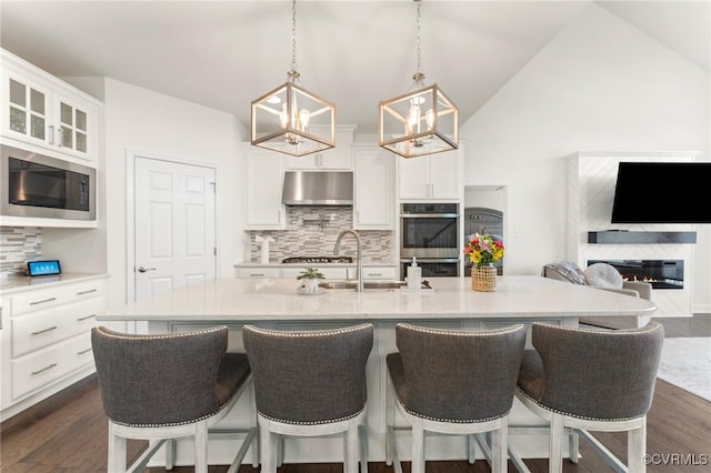 4025 Carrie Mill Xing, Glen Allen, VA 23059 - kitchen with appliances with stainless steel finishes, under cabinet range hood, dark wood-style flooring, light countertops, and vaulted ceiling