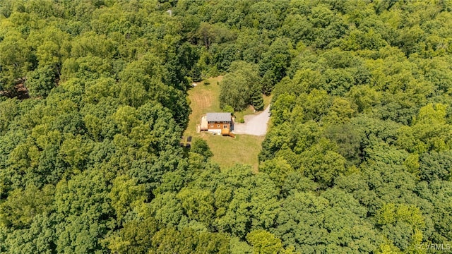 4285 Hadensville Farm Rd, Goochland, VA 23117 - drone / aerial view of a forest