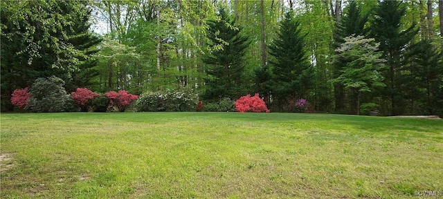 4285 Hadensville Farm Rd, Goochland, VA 23117 - view of green lawn featuring a forest view
