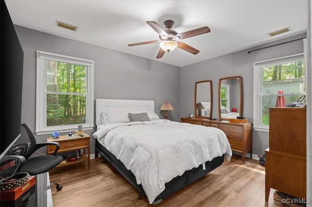 7503 Native Dancer Dr, Midlothian, VA 23112 - bedroom with multiple windows, light wood-style floors, and a ceiling fan