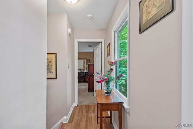 7503 Native Dancer Dr, Midlothian, VA 23112 - corridor featuring wood finished floors and baseboards