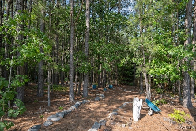 12316 Traylor Field Ln, Ashland, VA 23005 - view of yard with a view of trees