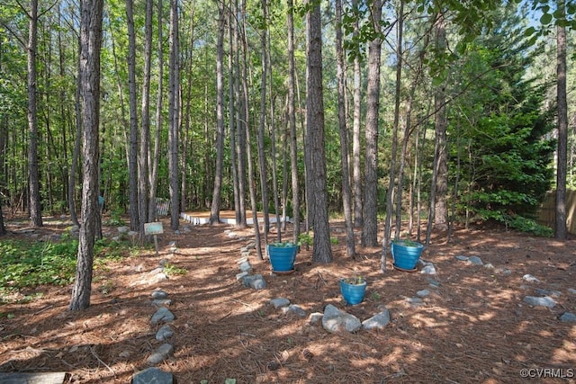 12316 Traylor Field Ln, Ashland, VA 23005 - view of yard