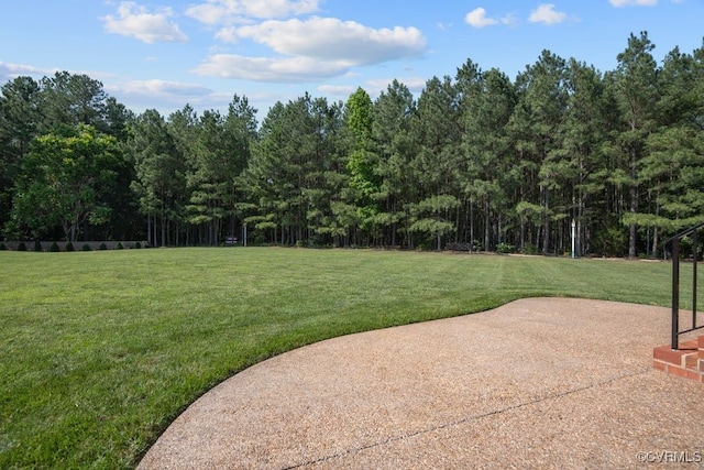 12316 Traylor Field Ln, Ashland, VA 23005 - view of grassy yard featuring a wooded view