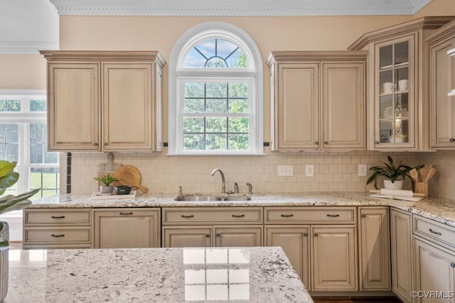 12316 Traylor Field Ln, Ashland, VA 23005 - kitchen featuring a sink, decorative backsplash, glass insert cabinets, light stone counters, and ornamental molding