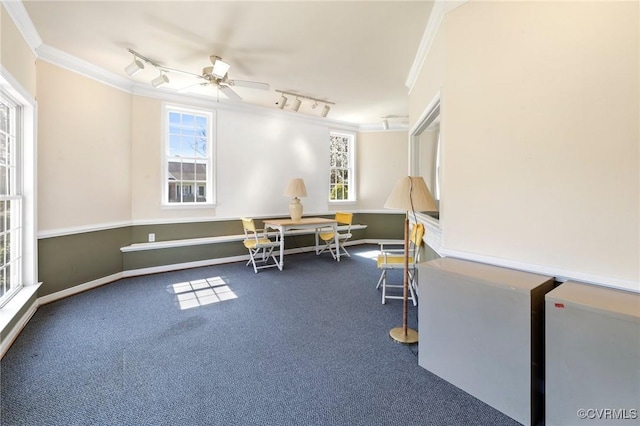 9401 Nolandwood Dr, Mechanicsville, VA 23116 - living area featuring track lighting, crown molding, carpet, ceiling fan, and baseboards