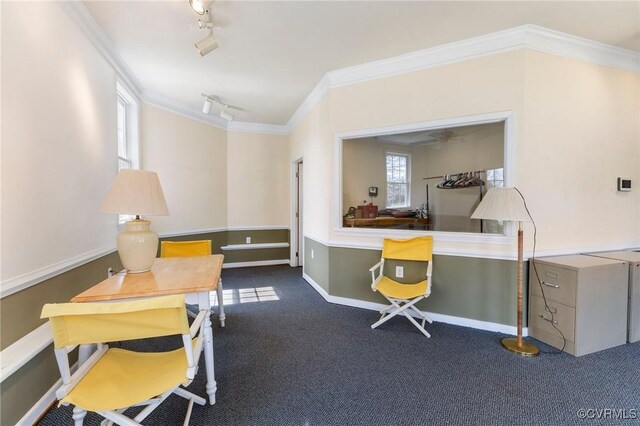 9401 Nolandwood Dr, Mechanicsville, VA 23116 - office with carpet floors, crown molding, rail lighting, and baseboards