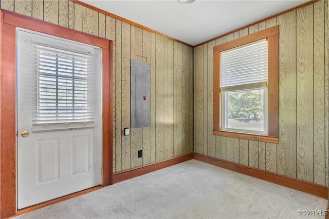 672 Main St, Dillwyn, VA 23936 - carpeted spare room featuring electric panel, ornamental molding, baseboards, and wooden walls