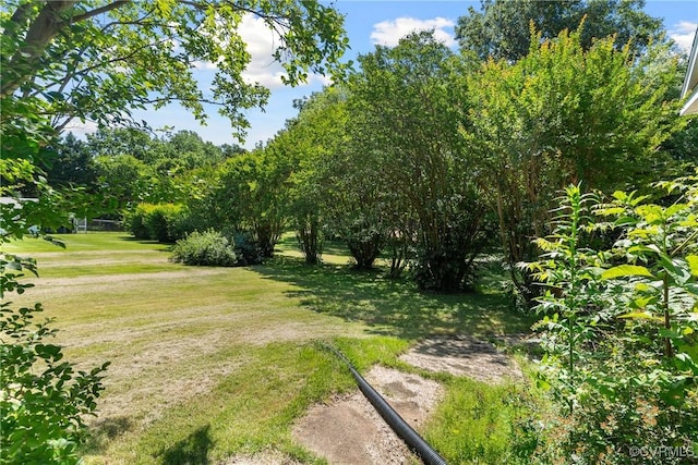 672 Main St, Dillwyn, VA 23936 - view of grassy yard