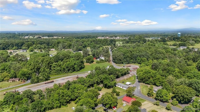 672 Main St, Dillwyn, VA 23936 - drone / aerial view of a forest