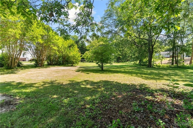 672 Main St, Dillwyn, VA 23936 - view of green lawn