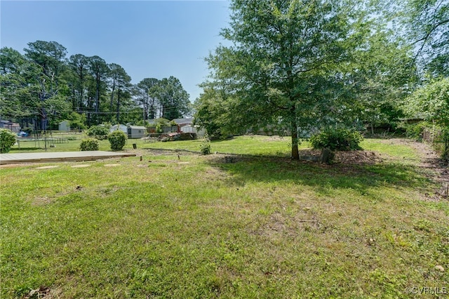 9019 Farmington Dr, Henrico, VA 23229 - view of green lawn
