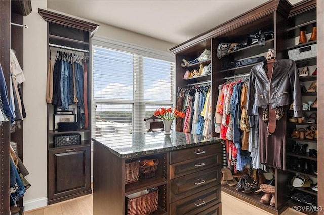 4820 Old Main St Unit 604, Henrico, VA 23231 - walk in closet with light wood-style floors