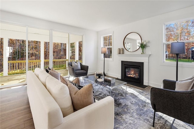 11183 Pinewild Dr, Providence Forge, VA 23140 - living room with a fireplace with flush hearth, wood finished floors, and baseboards