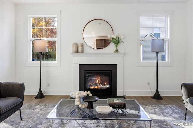11183 Pinewild Dr, Providence Forge, VA 23140 - living area featuring wood finished floors, a fireplace with flush hearth, plenty of natural light, and baseboards