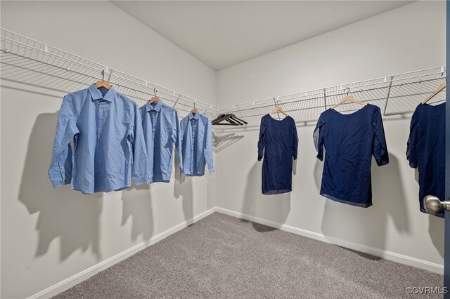 111 Leonard Ct, King William, VA 23009 - walk in closet with carpet floors and lofted ceiling