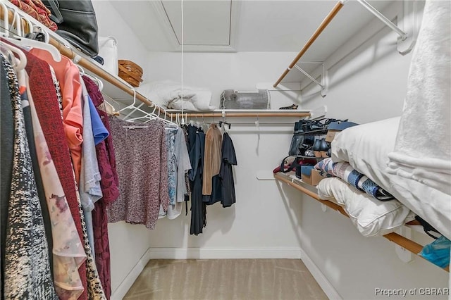 1708 Centennial Dr, Toano, VA 23168 - walk in closet featuring attic access and carpet