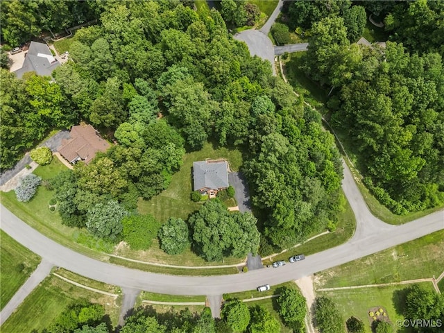 12055 Hadden Hall Dr, Chesterfield, VA 23838 - aerial view of property's location