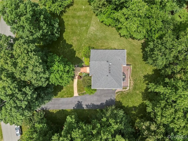 12055 Hadden Hall Dr, Chesterfield, VA 23838 - view from above of property