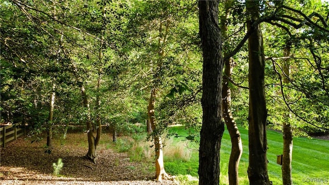 11407 Timber Point Dr, Chesterfield, VA 23838 - view of nature