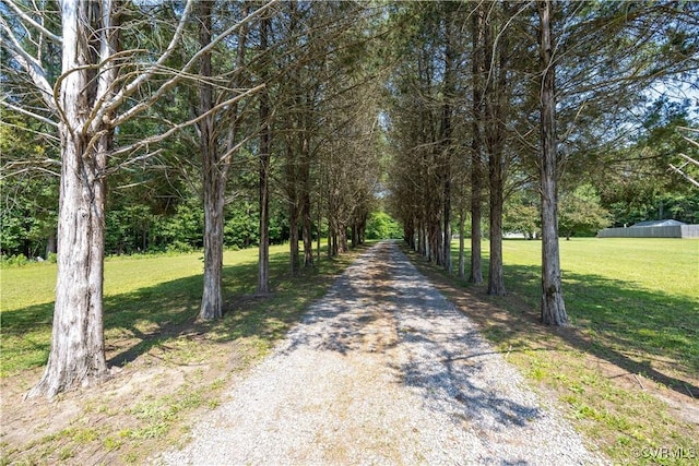 16701 Jolly Rd, Prince George, VA 23842 - view of dirt / gravel road