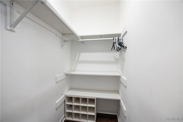 16701 Jolly Rd, Prince George, VA 23842 - view of walk in closet