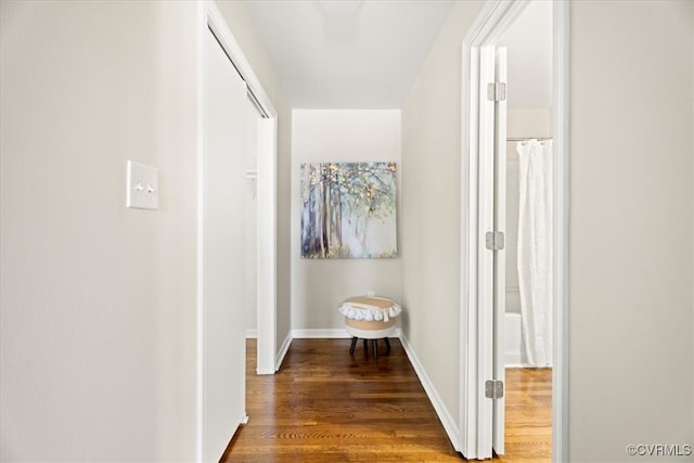 12 Wheelhouse Ct, Petersburg, VA 23805 - hallway with wood finished floors and baseboards